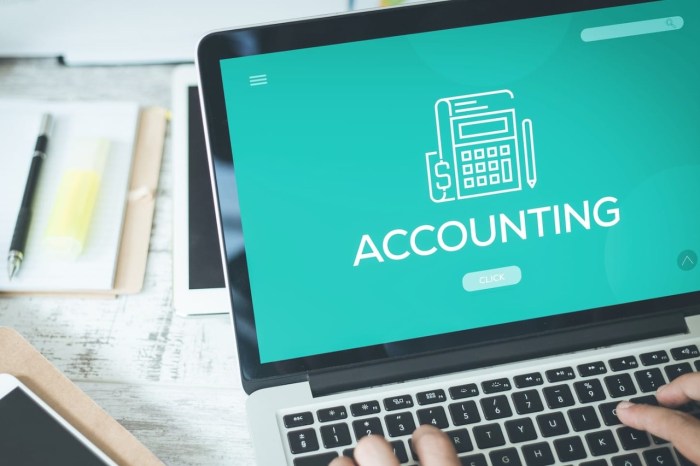 Accounting software multiple businesses