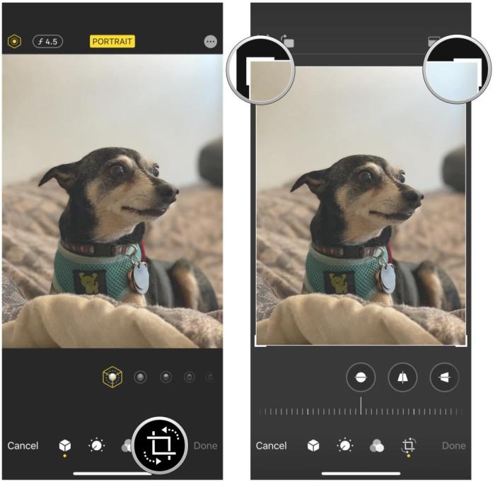 How crop resize photos your iphone and ipad