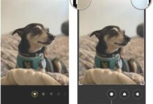 How crop resize photos your iphone and ipad