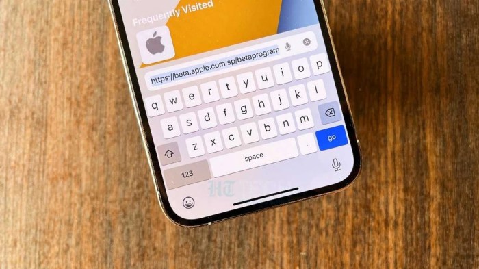 This iphone trick has been around for years why dont more people use apples built in undo method