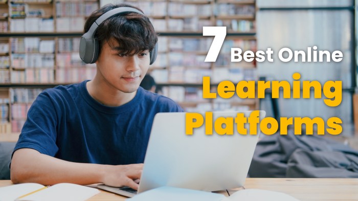 Online platforms learning top use