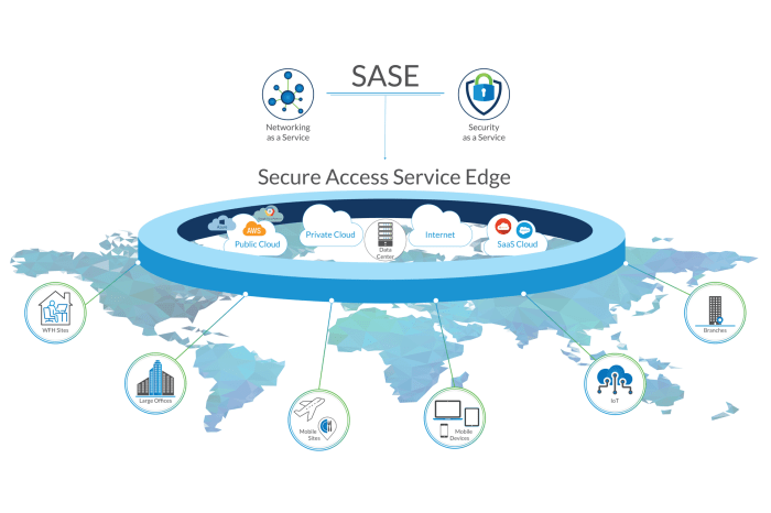 Secure access service edge platforms