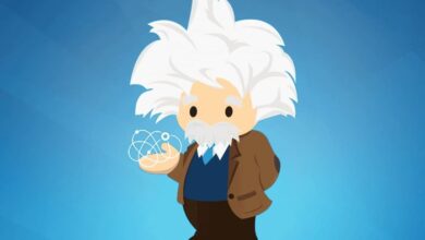 Salesforce ai einstein studio interview