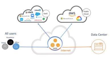 Secure access service edge platforms