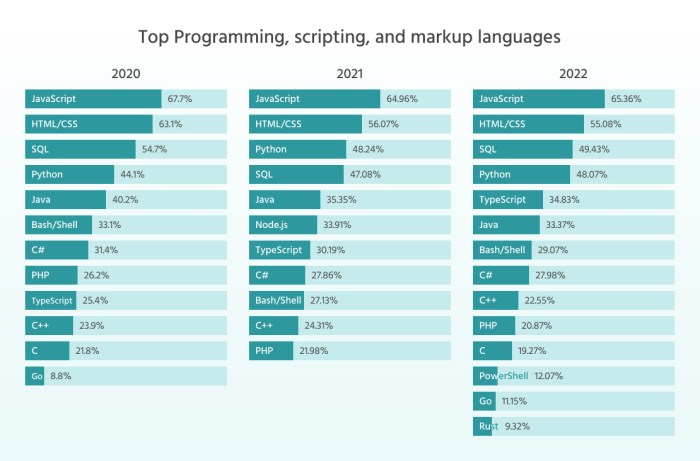 Top programming languages employers want