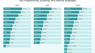Top programming languages employers want