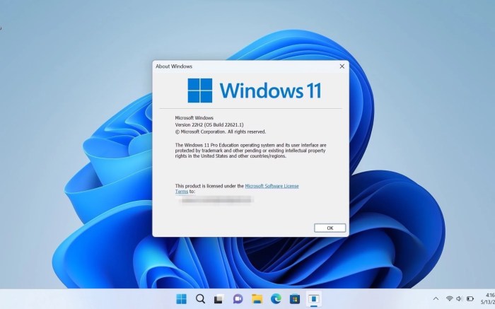 Windows 11 22h2 enterprise features