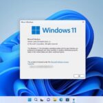 Windows 11 22h2 enterprise features