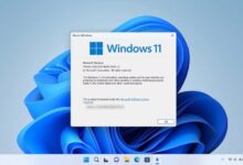Windows 11 22h2 enterprise features