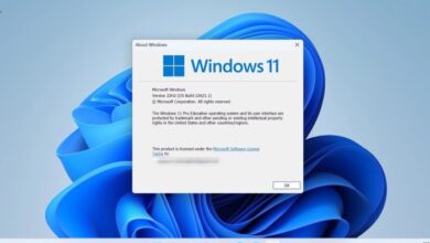 Windows 11 22h2 enterprise features