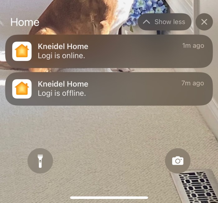 Homekit compatibility