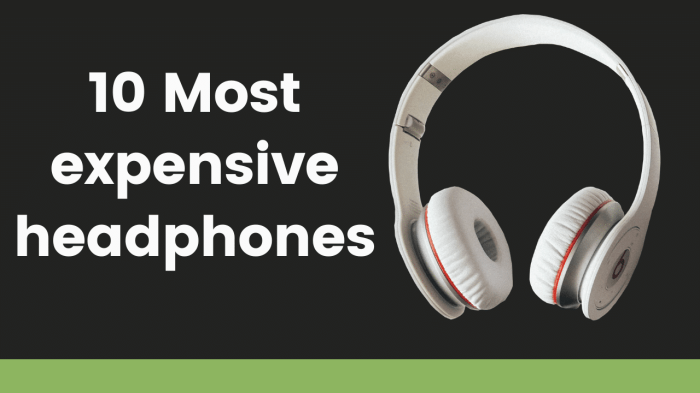 Headphones These luxury headphones have a combined saving of dollar370 and personally id buy both